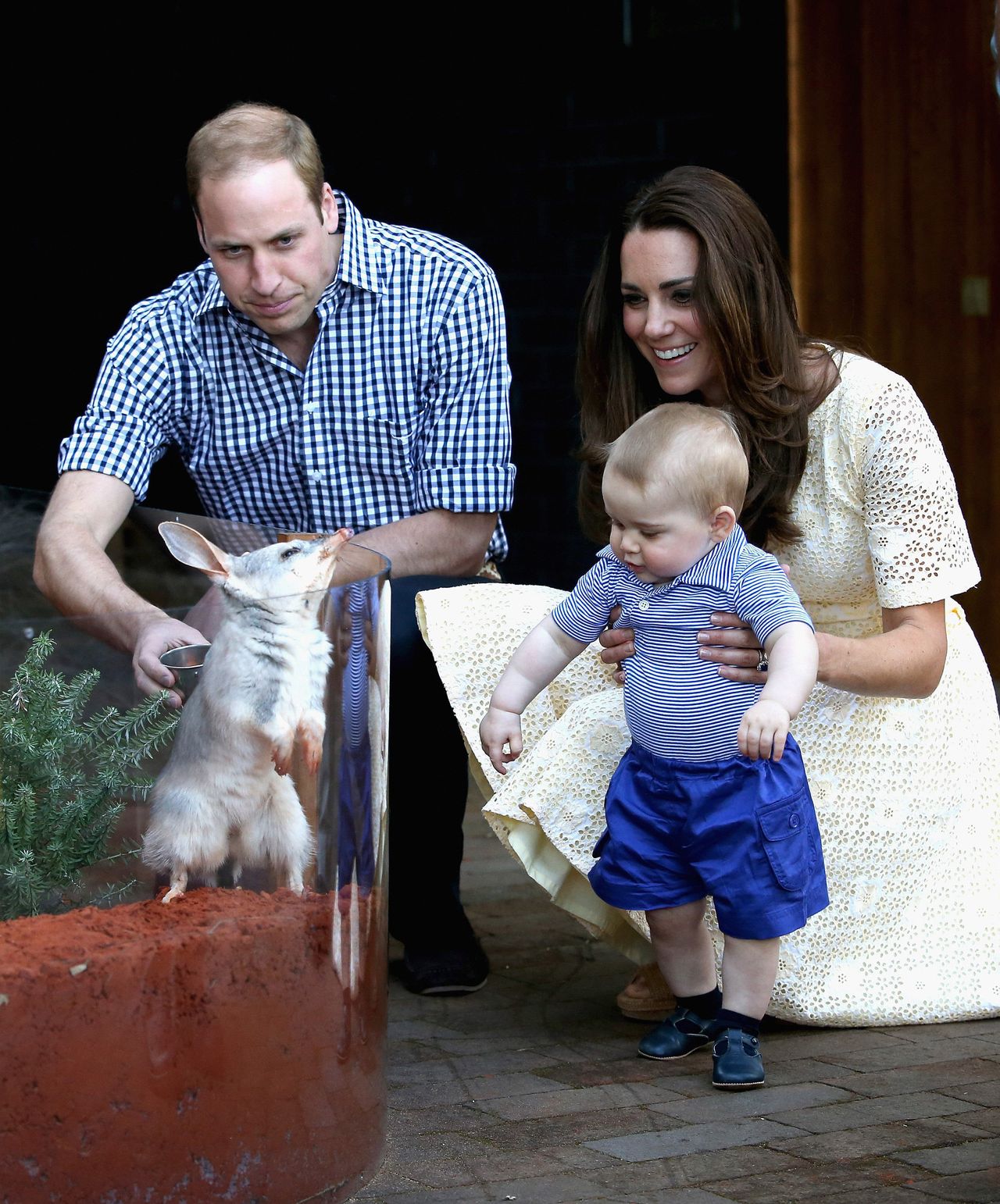 William and Catherine, Duke and Duchess of Cambridge, embarked upon a high-profile visit to Australia with Prince George in 2014.