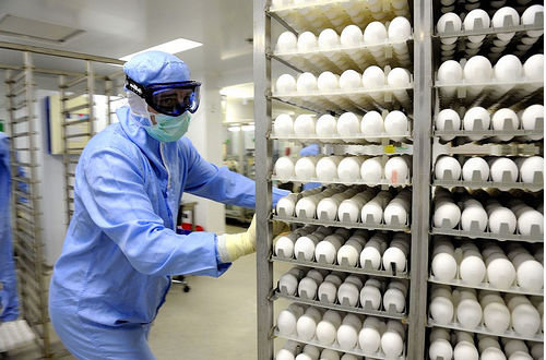 <p>Most flu shots are manufactured using eggs.</p>