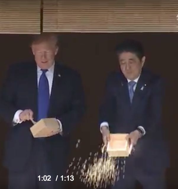 Japan’s leader Shinzo Abe is seen emptying the remainder of his box of fish food seconds before Trump does