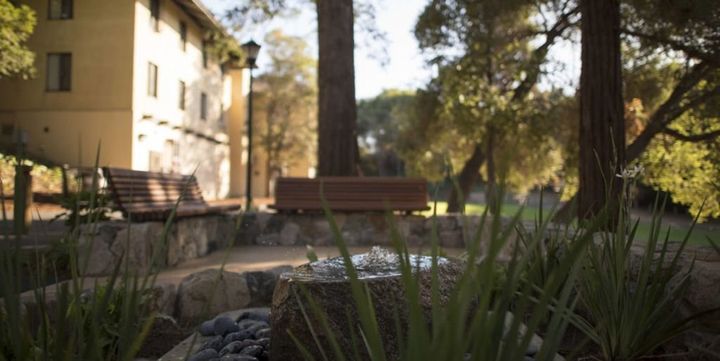 The dumpster site at Stanford University where Brock Turner sexually assaulted a woman has been turned into a quiet garden and memorial.