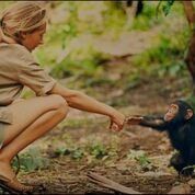 Jane with a baby chimp