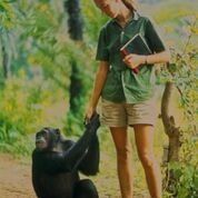 Jane and one of her chimpanzee friends