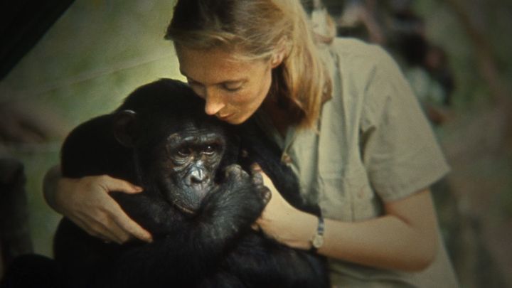 Jane Goodall and one of her chimps