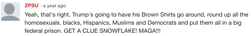 A comment on the Daily Caller article about my essay. http://dailycaller.com/2016/11/30/a-hilla