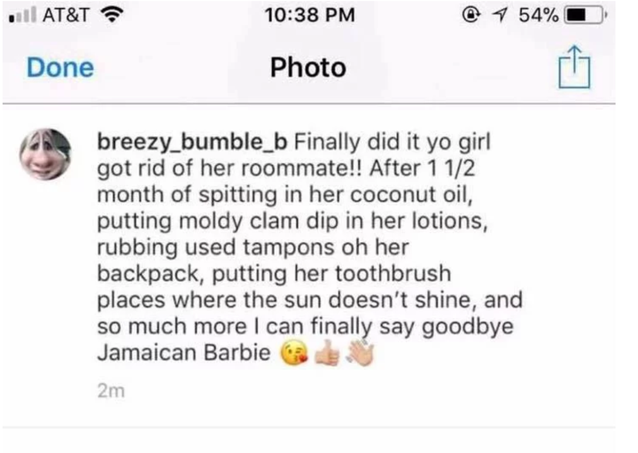 This is a screen shot of Brianna Brochu bragging about driving out her black roommate.