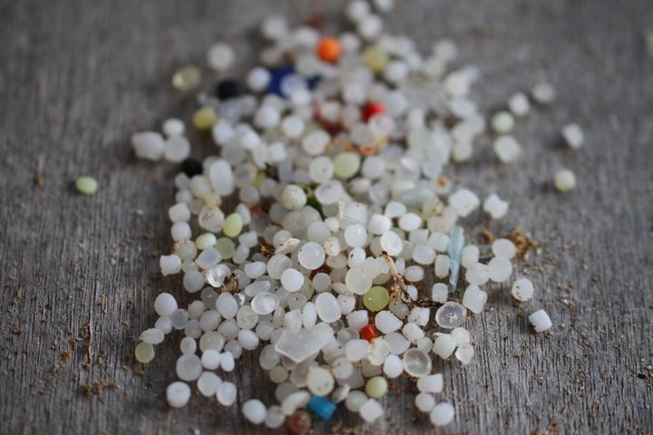 Nurdles, seen here, are small plastic pellets that pollute beaches and kill sea life.