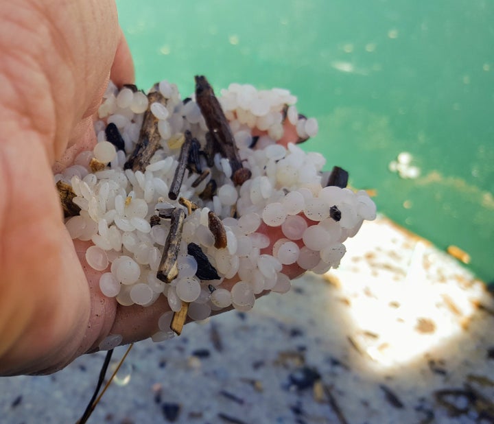 Local resident Hayley Bevis picks up handfuls of nurdles on Vetchies Beach in Durban.