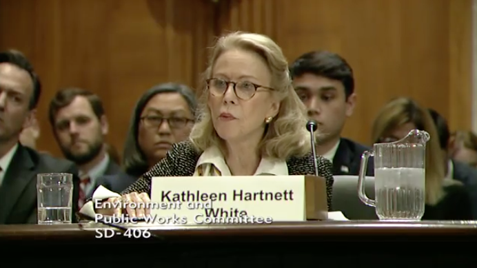 A screenshot from the live-streamed hearing, where Kathleen Hartnett White testified.