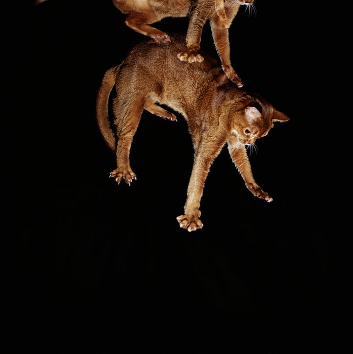 GK HartVikki Hart/Getty Images