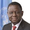 Dr. Babatunde Osotimehin - Late Executive Director of UNFPA, the United Nations Population Fund