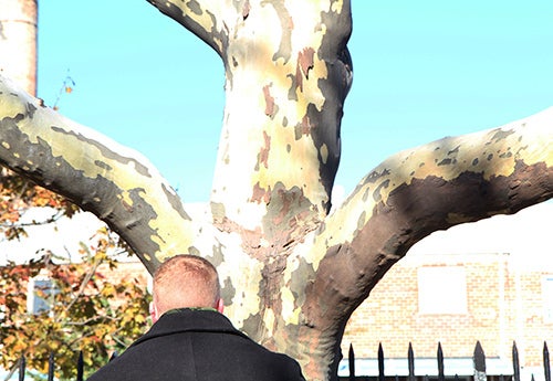 <p><strong>Should I climb a second time?</strong></p>