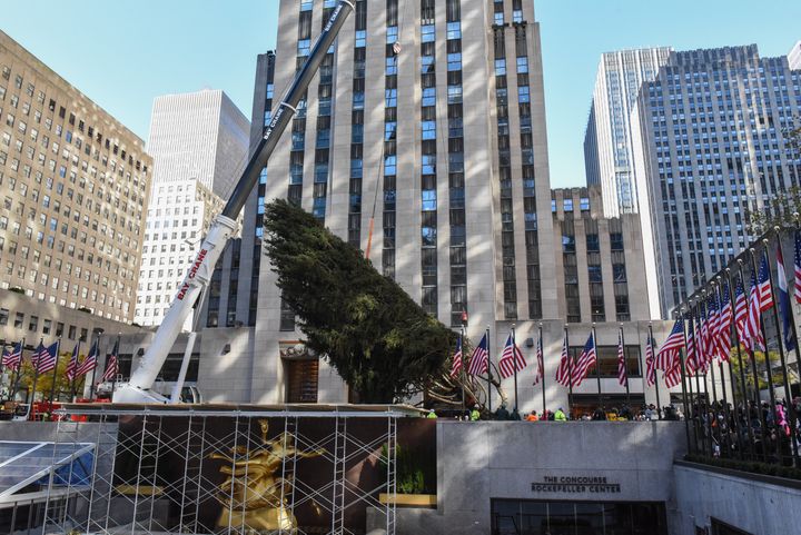 A crane hoists the Rockefeller Center tree upright on Saturday in New York City.