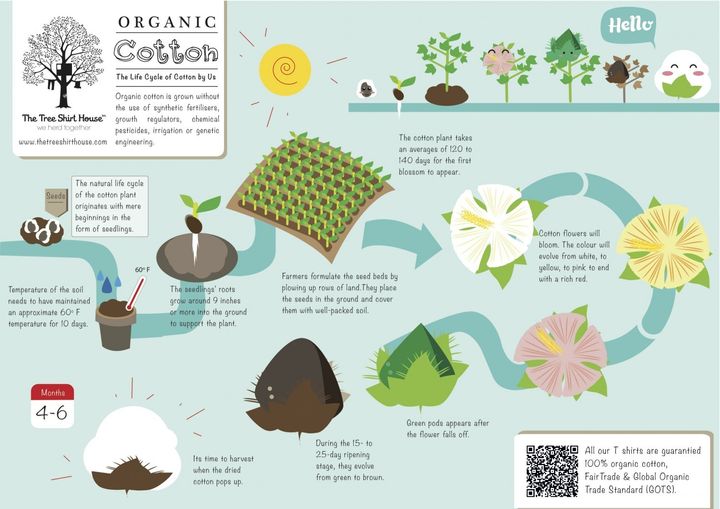 <p>What makes organic cotton organic.</p>