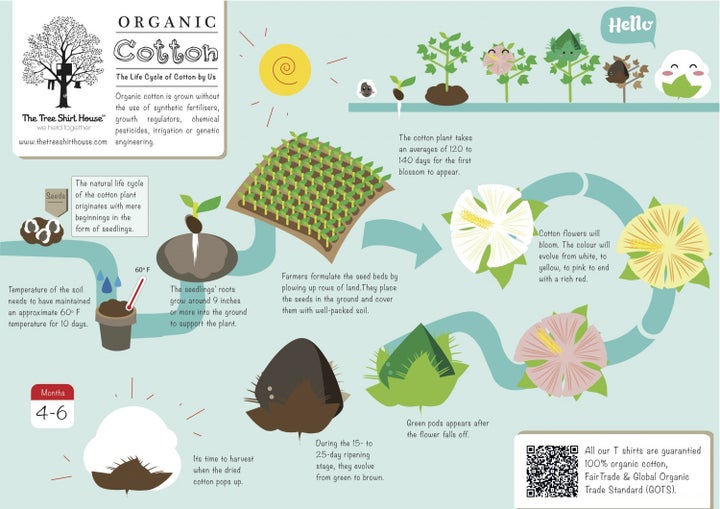 What makes organic cotton organic.