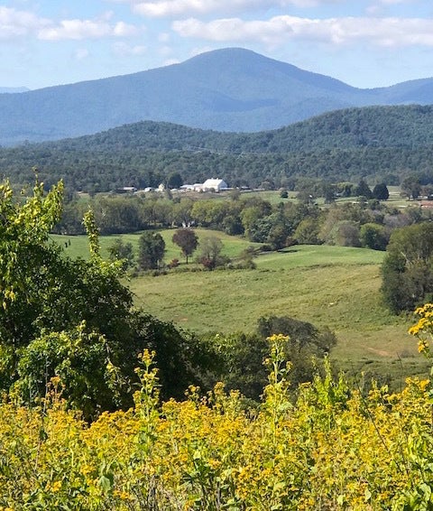 <p>Marriott Family Ranch, Inn at Fairfield Farm</p>