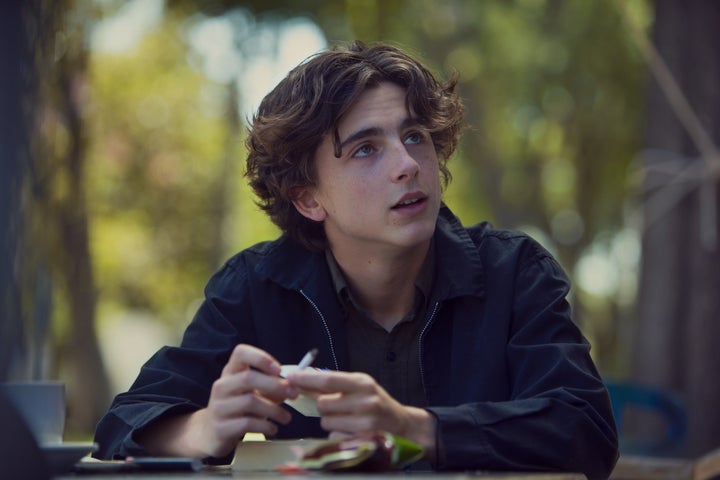 Timothée Chalamet in "Lady Bird."