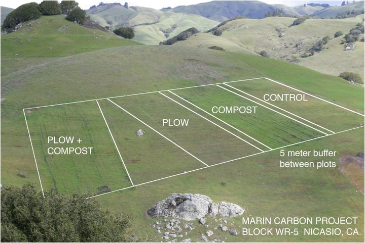 One of several blocks of research and control plots on the Nicasio Native Grass Ranch. This block compares the effects of composting, plowing, and plowing plus composting, against a control plot. The unlabeled trapezoidal space is a buffer area. Plots are randomly assigned using scientific field techniques. WR5 at lower right stands for “Wick Ranch, 5th Block.” 