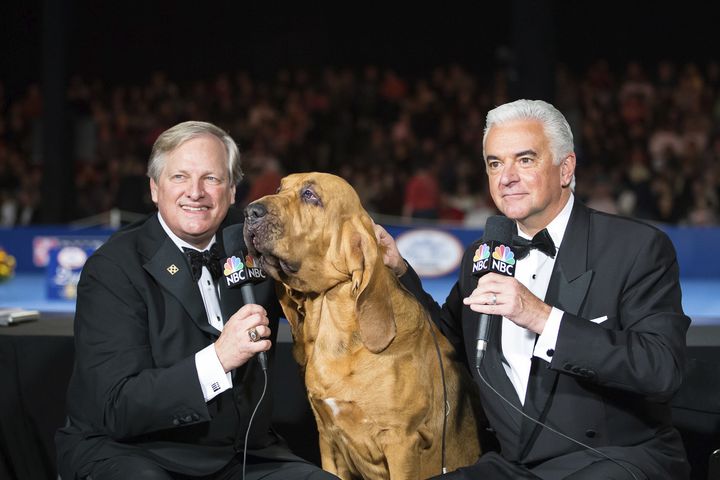 <p>David Frei (Left) and John O'Hurley (right) and Nathan the bloodhound, the 2015 Best In Show. </p>