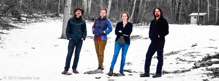 Furnace Mountain Band L/R Danny Knicely, Aimee Curl, Morgan Morrison, Dave Van Deventer. “Furnace Mountain are a truly exceptional group and deserve to be in the upper tier of American roots groups” Bob Harris BBC 2.