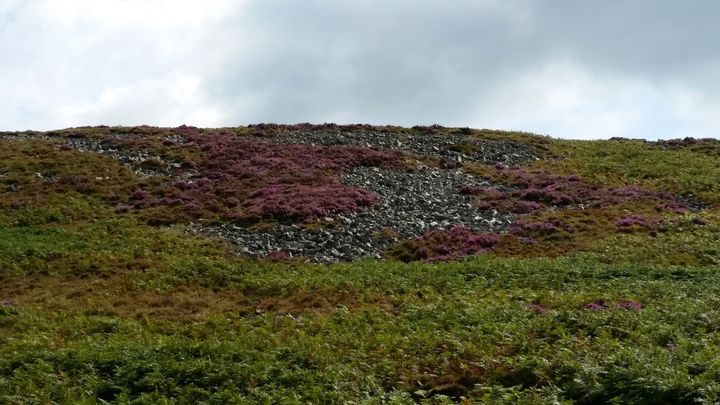 Coal slag being covered by nature, Rhondda Valley, Wales