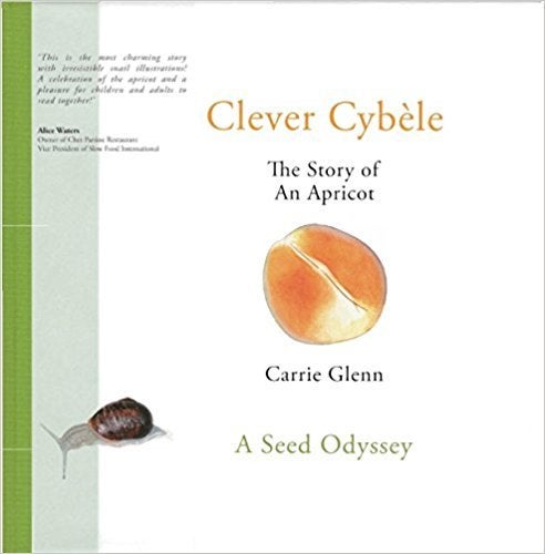 <p>CLEVER CYBÈLE by Carrie Glenn</p>