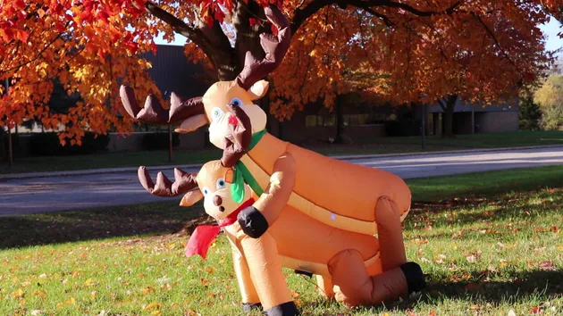 Inflatable Humping Reindeer Christmas Decoration Xmas Yard Lawn Decor  Ornament