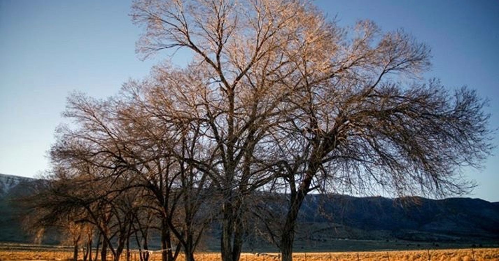 With Thanksgiving: A Native American View | HuffPost