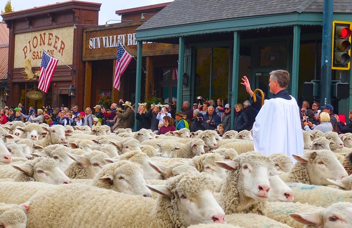 <p>Father Kenneth Brannon blesses 1500 sheep as they parade down Main Street.</p>