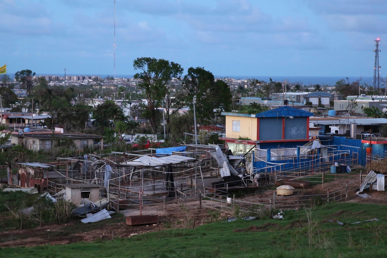 The González Echevarría brothers' dairy farm was battered by Hurricane Maria.