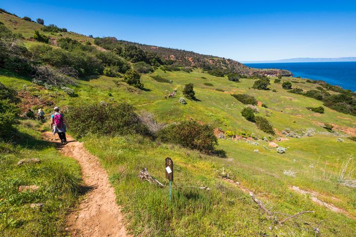 Hikers on Pelican Bay trail, Santa Cruz Island, Channel Islands National Park, California, USA