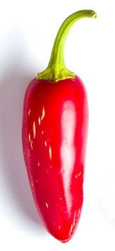 <em>Is this an overripe jalapeño or an underripe chipotle?</em>