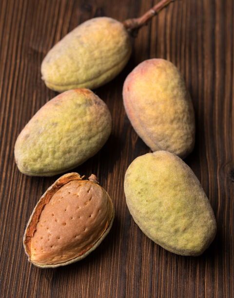 An almond is very similar to a peach, but with a different subjective moment of "ripeness." 
