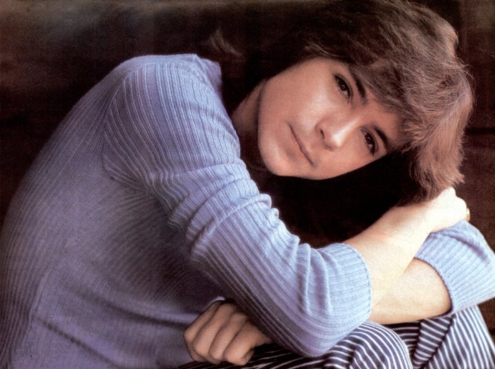 David Cassidy rose to fame on the TV show