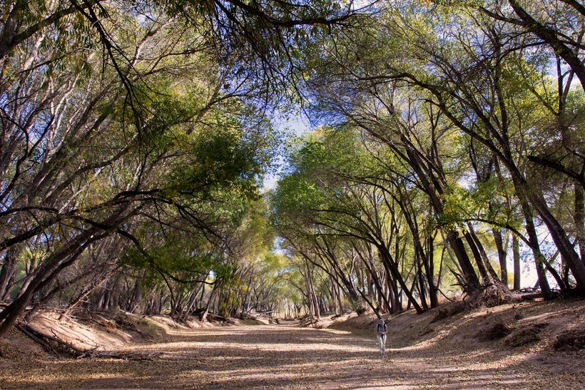 The dry river in Palominas, Arizona