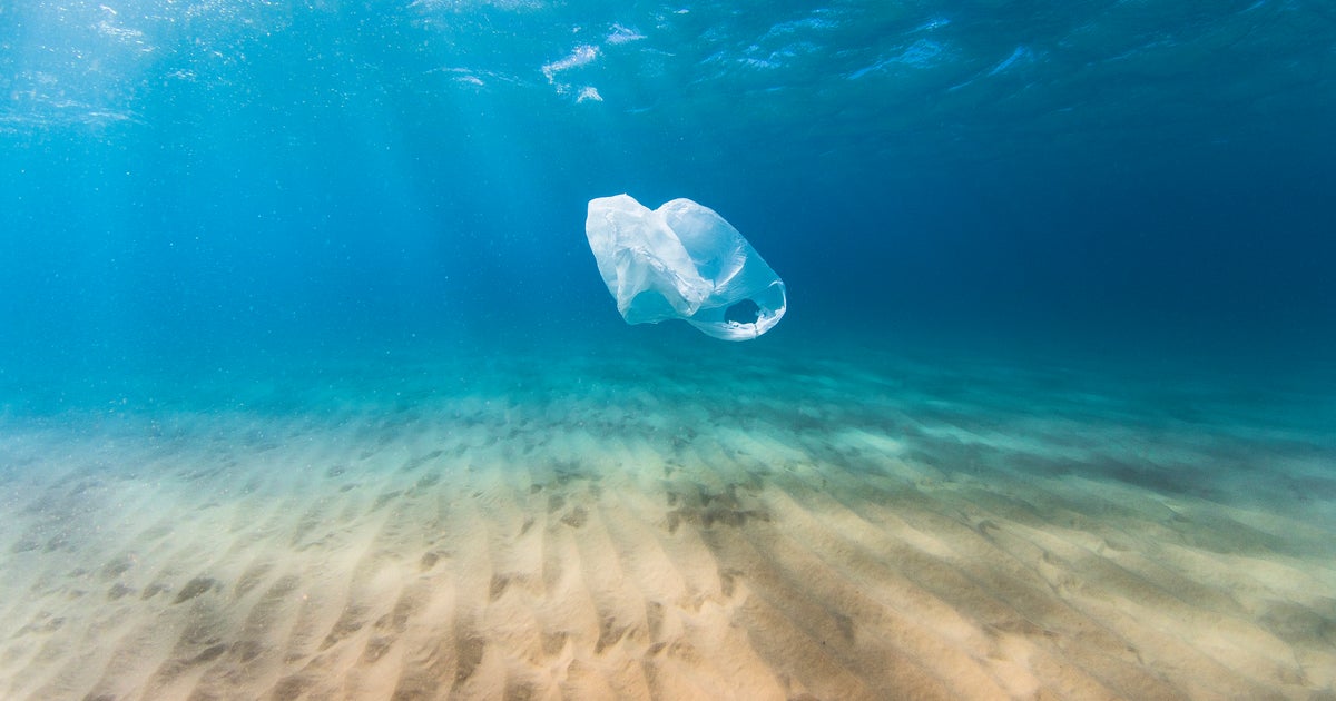 Blue english film japan Blue english film japan