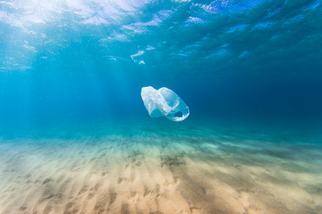 Blue Planet Made You Feel Guilty About Plastic Pollution? These ...