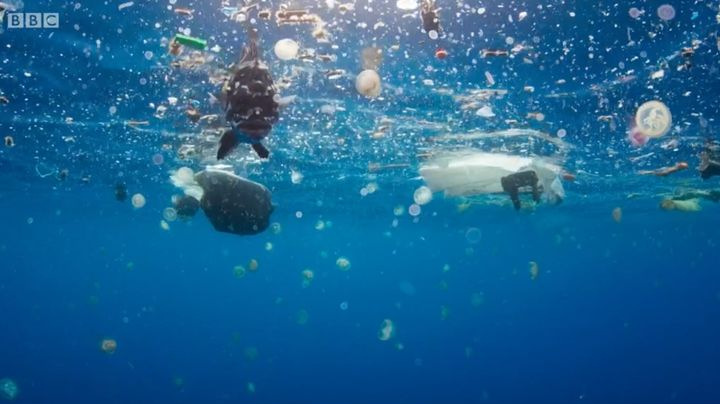 Images from Blue Planet II shows discarded plastic waste floating in the ocean.