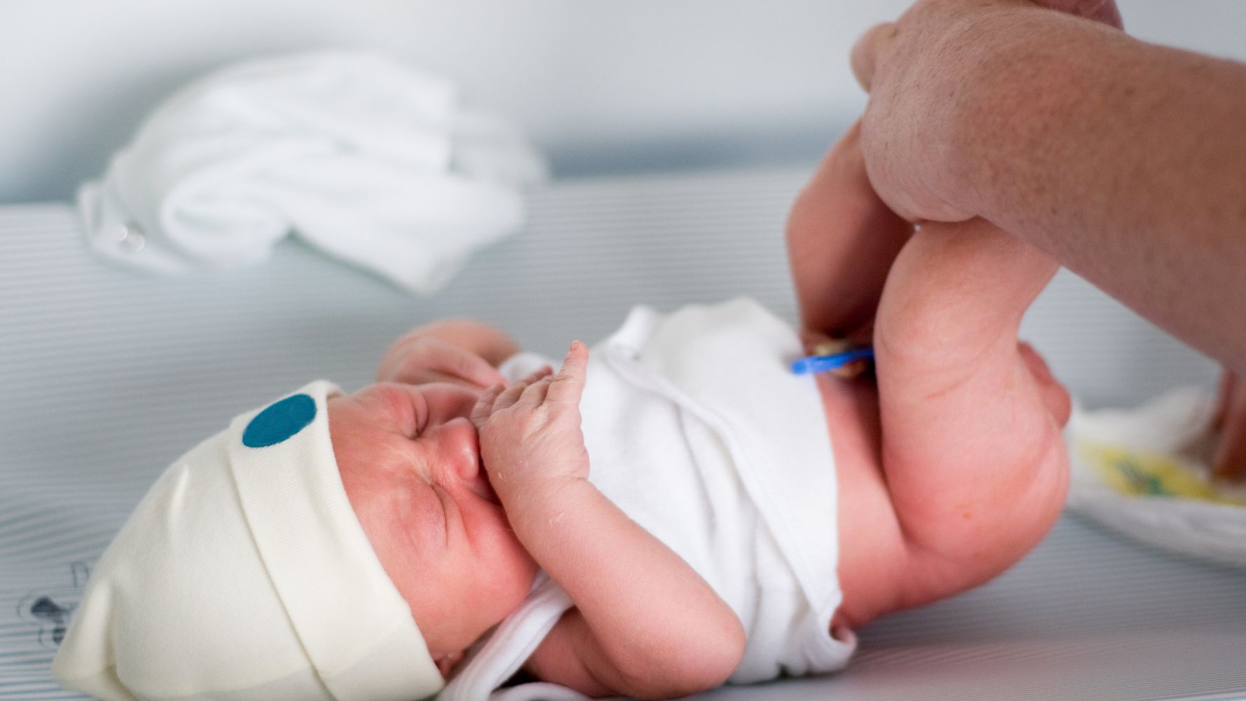 When Does Baby Develop Umbilical Cord?