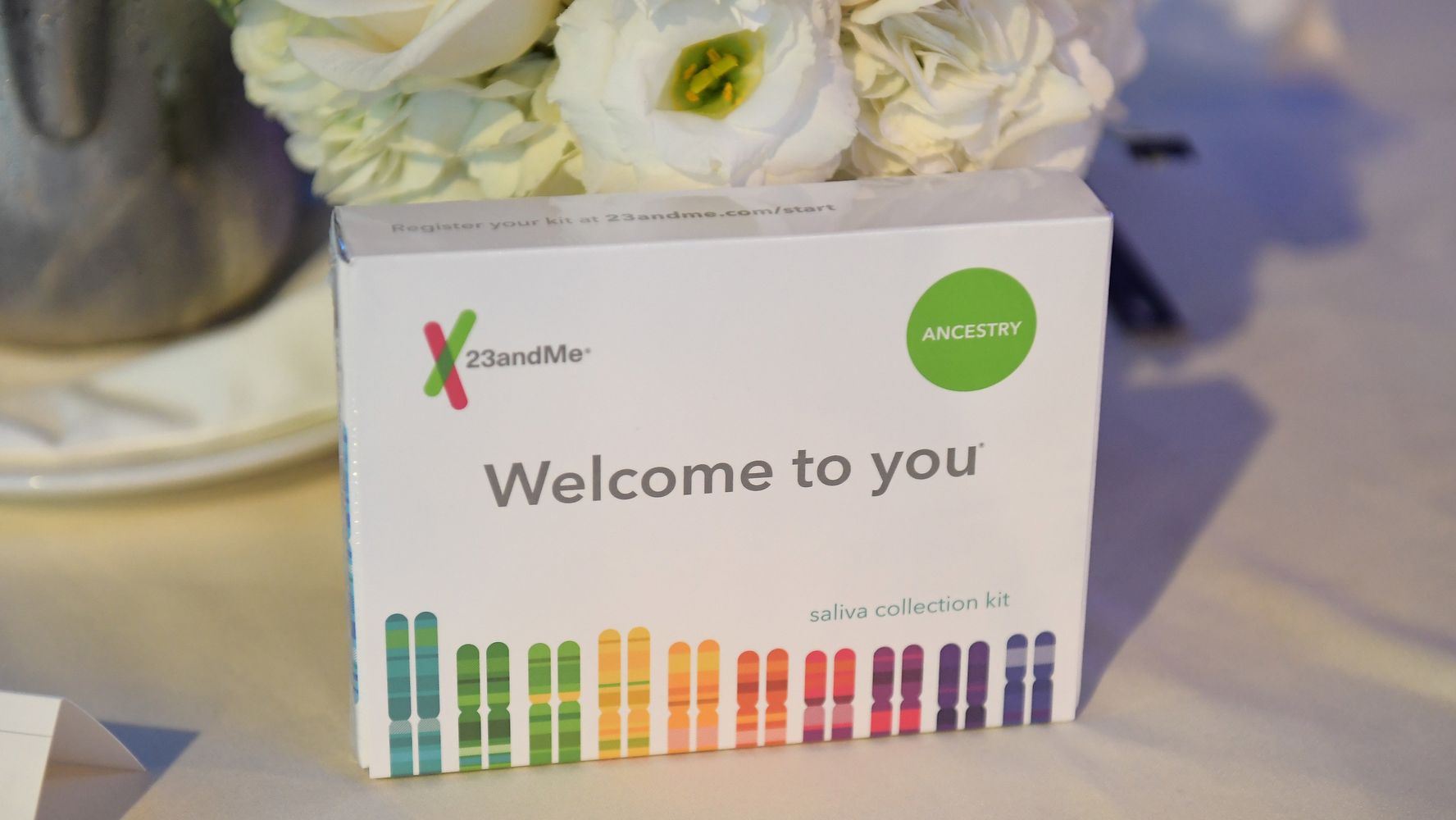 Ancestry answered the DNA questions 23andMe couldn't