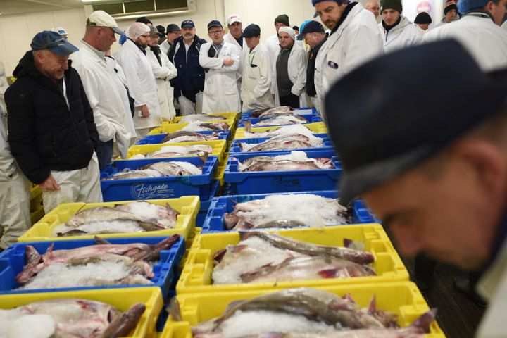 Grimsby relies heavily on its seafood industry.