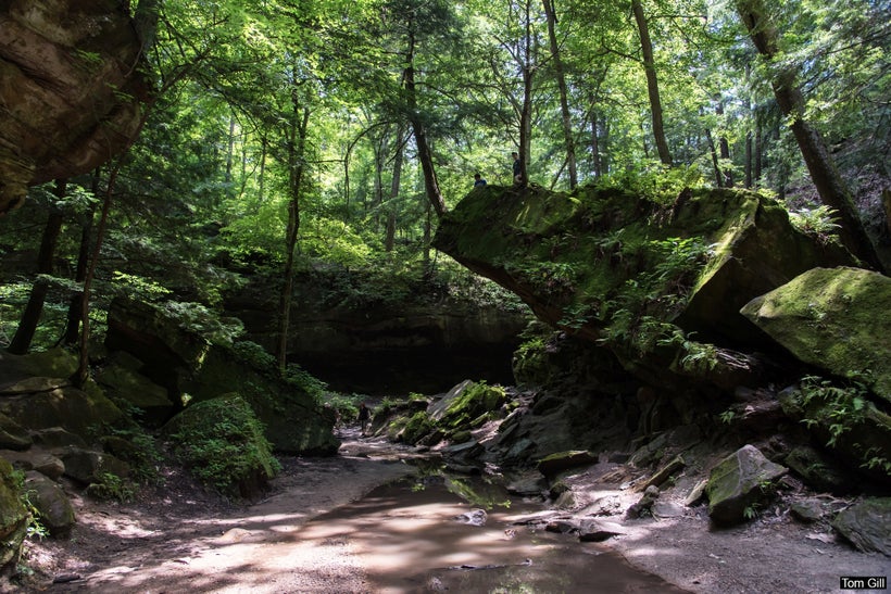 Trail 3 passes under Wedge Rock.