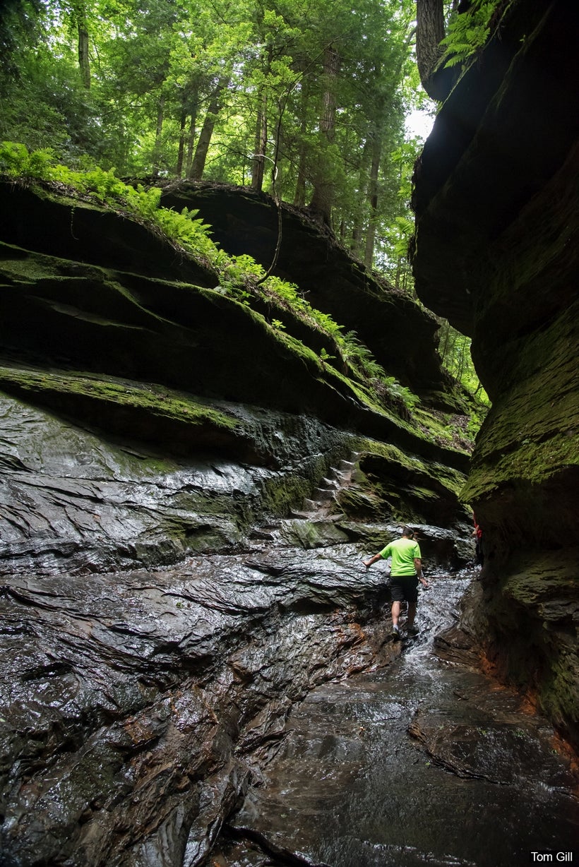 Narrowing of the canyon. Steps carved into the canyon wall allow hikers to keep their feet dry if they choose to climb them.