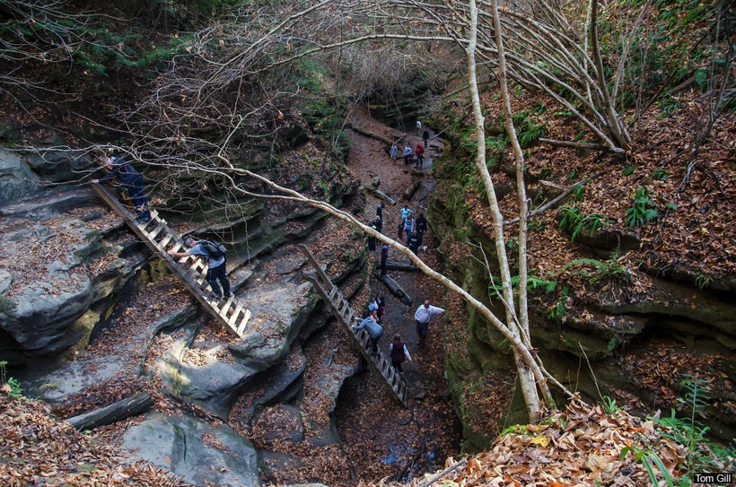 The ladders seen from above.