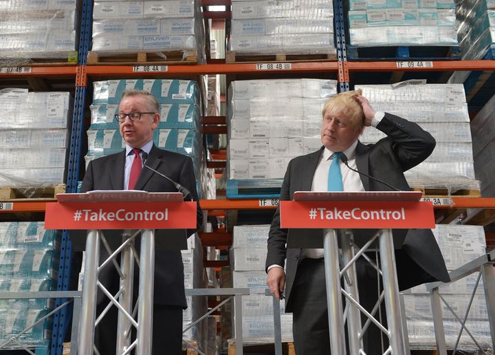 Michael Gove and Boris Johnson were the leaders of the Vote Leave campaign.