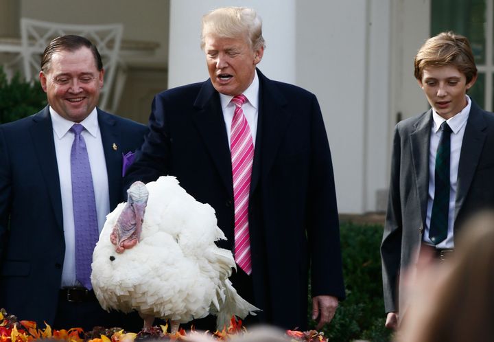 Donald Trump reaches out and touches "Drumstick" the turkey as he pardons the bird with his son Barron at his side.