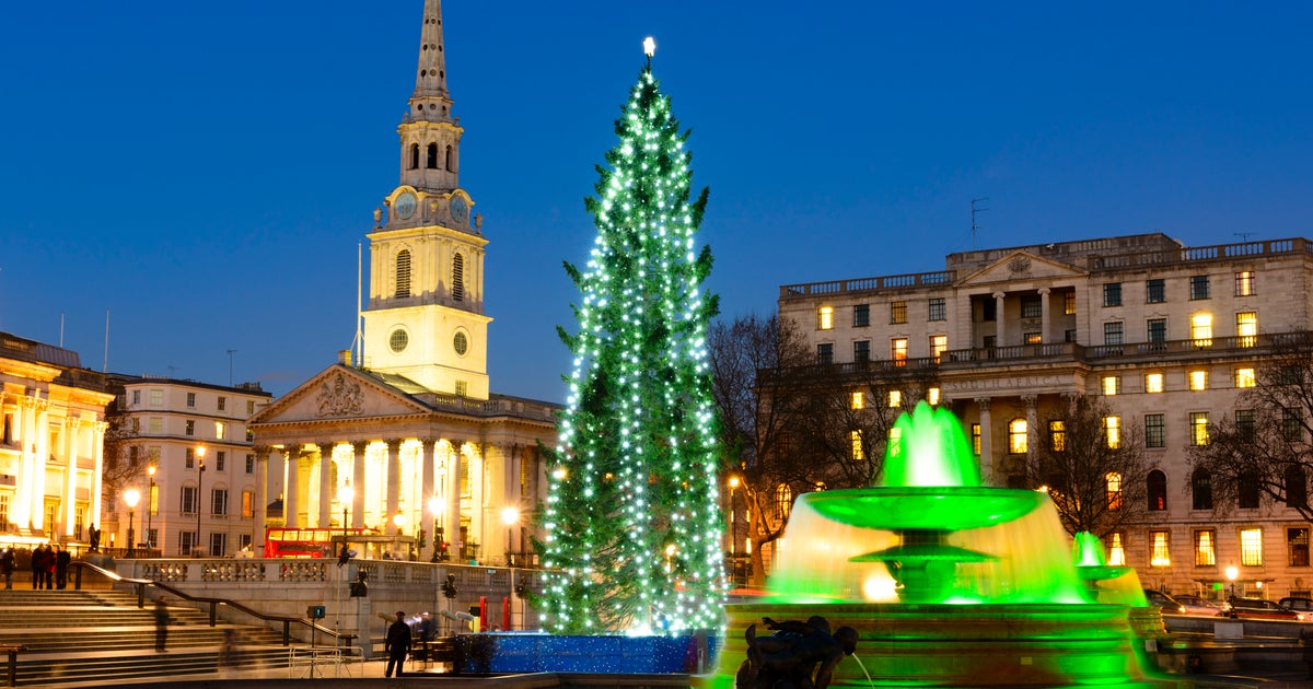 The Biggest And Best Christmas Trees Around The UK HuffPost UK Life