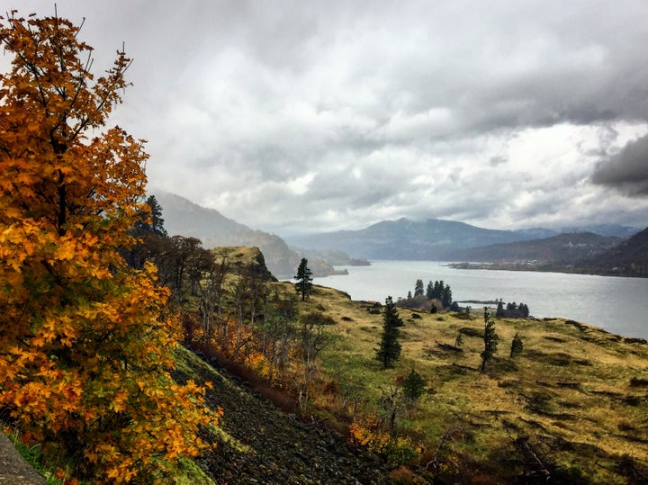 The Columbia River Gorge in November 2017, just two months after the fire, is in many places untouched and as beautiful as ever.