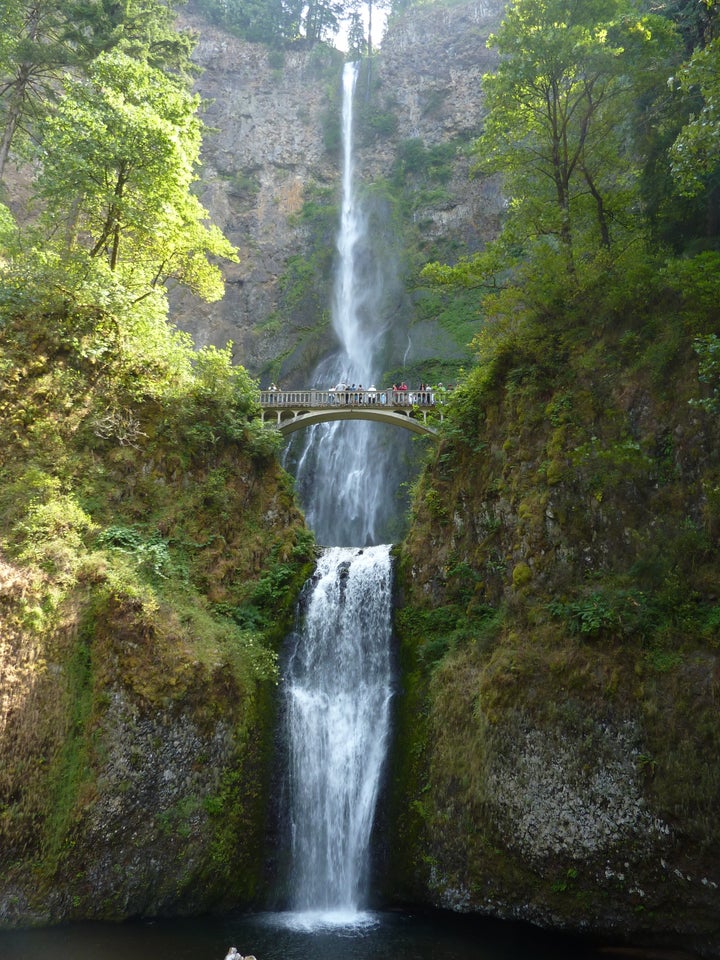 The falls before the fire. The historic lodge was saved, but road entry was damaged and is closed indefinitely. The falls, however, can be seen from I-84 and are still gorgeous. 