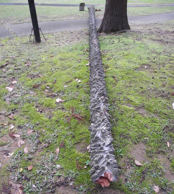 A mindfully carved fallen tree by Shigeo Toya, 2000 