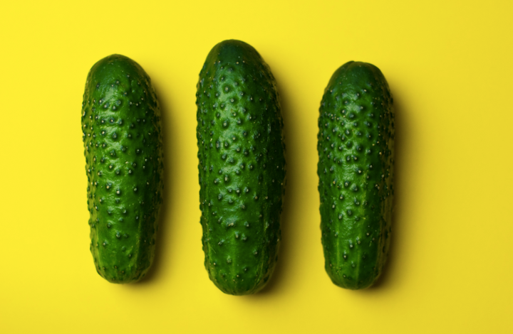 <p>image via <a href="https://www.pexels.com/photo/food-vegetables-cucumbers-gherkins-8694/" target="_blank" role="link" rel="nofollow" class=" js-entry-link cet-external-link" data-vars-item-name="pexels" data-vars-item-type="text" data-vars-unit-name="5a14e834e4b0815d3ce65b1d" data-vars-unit-type="buzz_body" data-vars-target-content-id="https://www.pexels.com/photo/food-vegetables-cucumbers-gherkins-8694/" data-vars-target-content-type="url" data-vars-type="web_external_link" data-vars-subunit-name="article_body" data-vars-subunit-type="component" data-vars-position-in-subunit="0">pexels</a></p>
